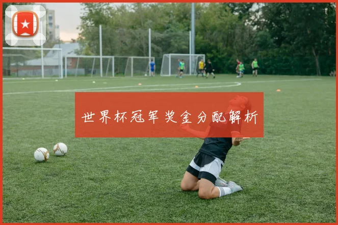 世界杯冠军奖金分配解析